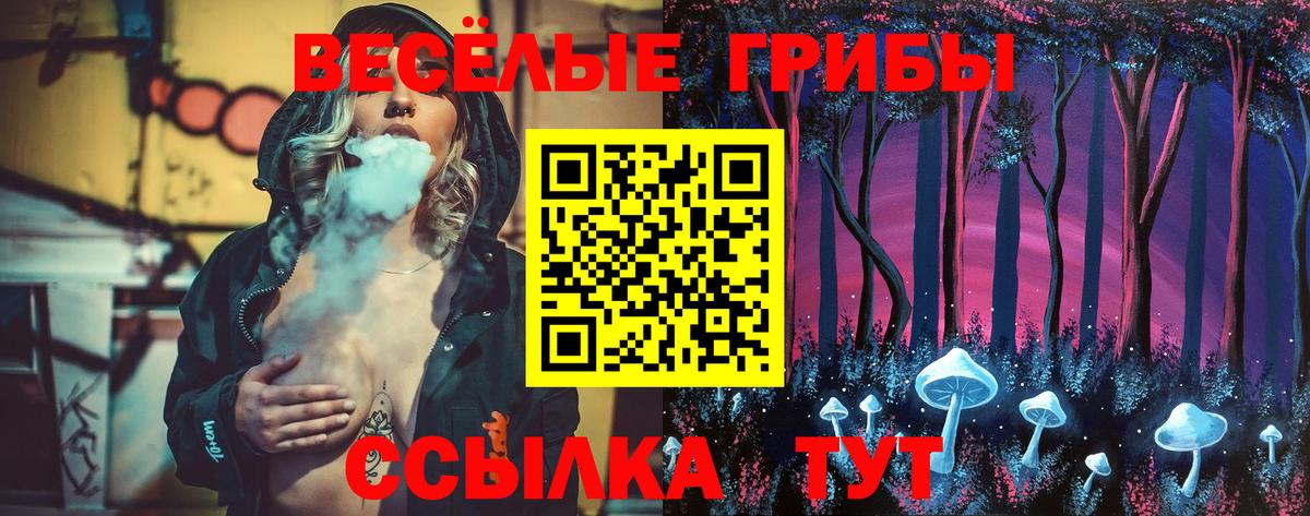 Галлюциногенные грибы Psilocybe Королёв