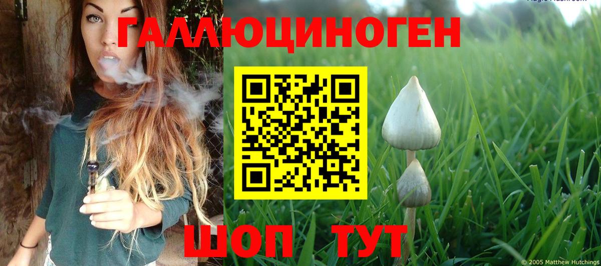 Королёв  Псилоцибиновые грибы ЛСД  Вход с VPN 